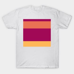 An uncommon pot-pourri of Almost Black, Jazzberry Jam, Faded Red, Dark Peach and Butterscotch stripes. T-Shirt